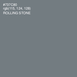#737C80 - Rolling Stone Color Image